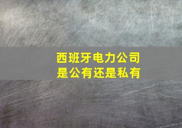 西班牙电力公司 是公有还是私有